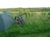 bike-wine-vines-camping
